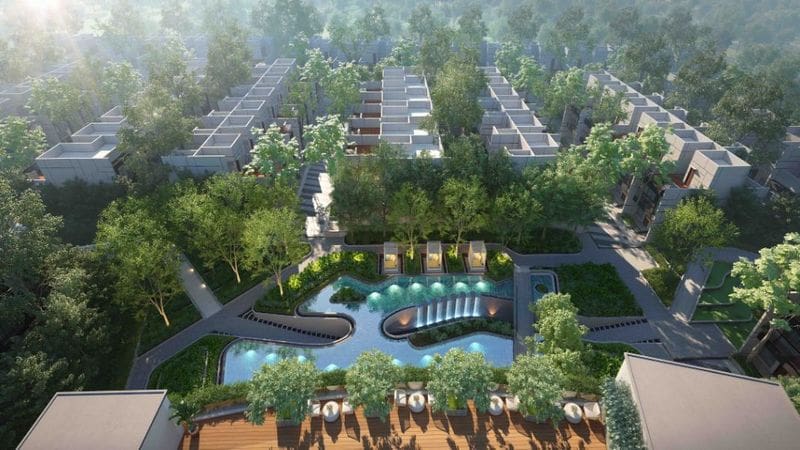 Botanica-areial-view